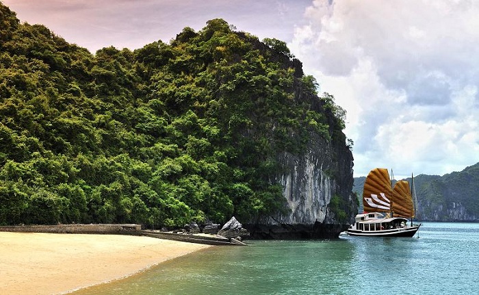 jonque halong bhaya